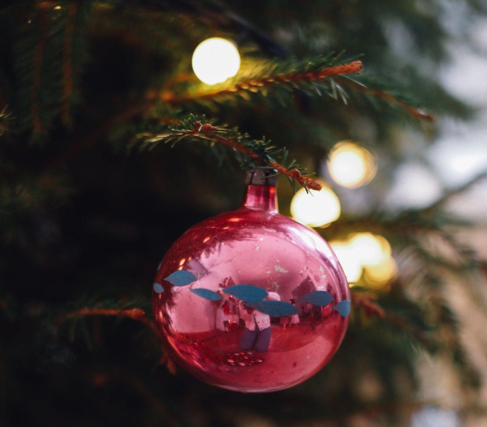 Christmas Tree Clearance: Finding Joy and Comfort